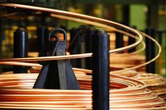 网络安全与防护方案